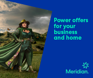 Meridian_Retail_NZ_Imagery_300x250.png