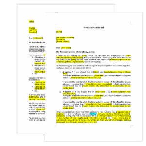 Template: Preliminary Decision Letter